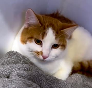 Photo of Charlie