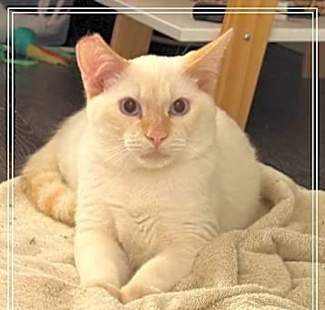 Photo of Chad