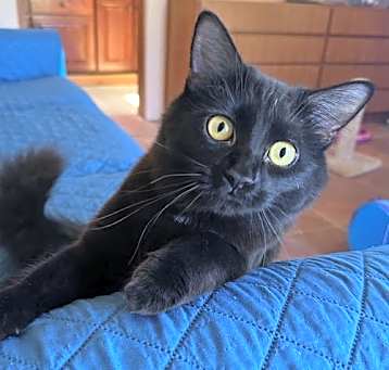 Photo of Cabrio