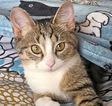 Photo of Seeker