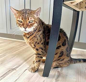 Photo of Ruby Tuesday