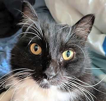 Photo of Sprite 3