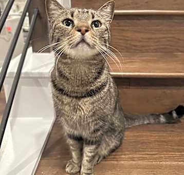 Photo of Jose Cuervo