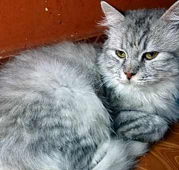 Photo of Muriel