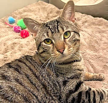 Photo of Louie (LE)