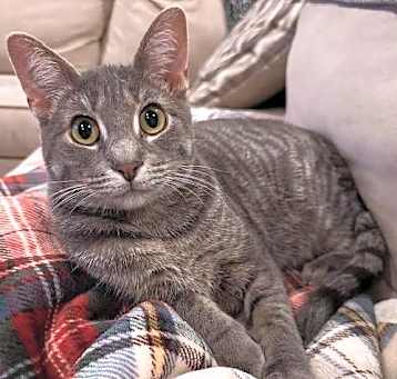 Photo of Norman