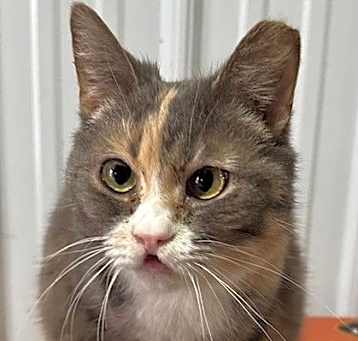 Photo of Patty Mae