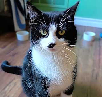 Photo of Coal