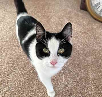 Photo of Bessie