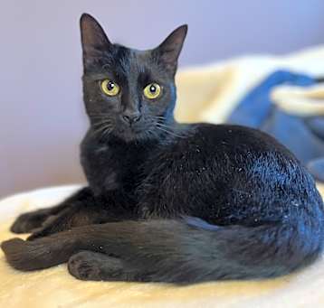Photo of Elvira
