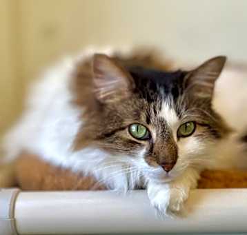 Photo of Margo