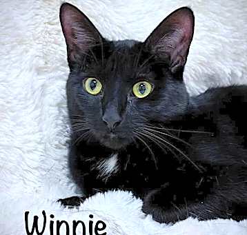 Photo of Winnie