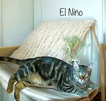 Photo of El Nino