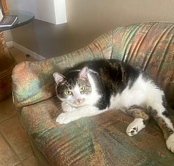 Photo of Squeaky