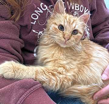 Photo of Fuzz
