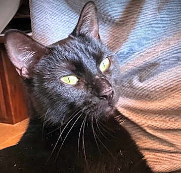Photo of Jenny