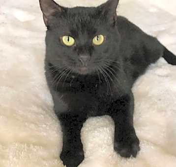 Photo of Ulysses