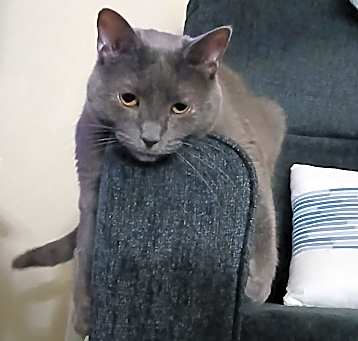Photo of Eva