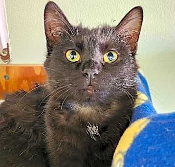 Photo of Elsa
