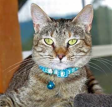 Photo of Estella