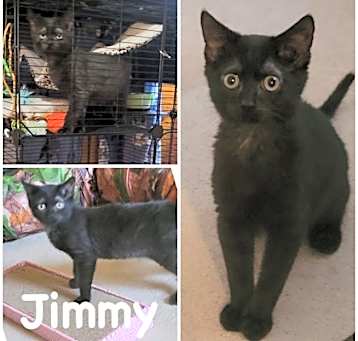 Photo of Jimmy