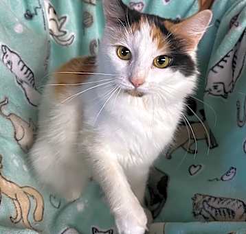 Photo of Tiana