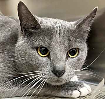 Photo of Tippy