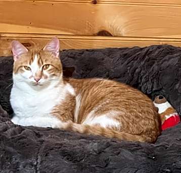 Photo of Sunny