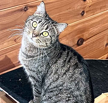 Photo of Dottie