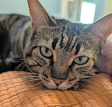 Photo of Shirley