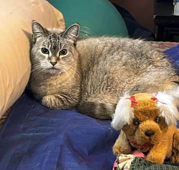 Photo of Luna