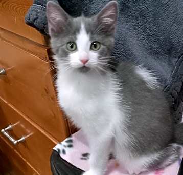 Photo of Monica