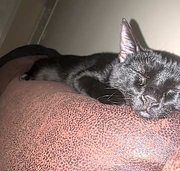 Photo of Jack