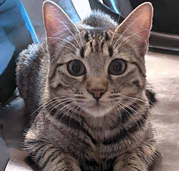 Photo of Marley