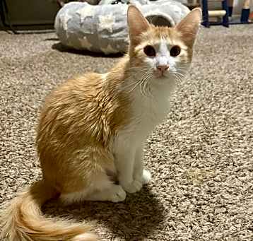 Photo of Calypso