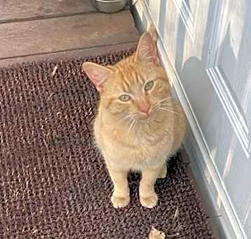 Photo of Garfield