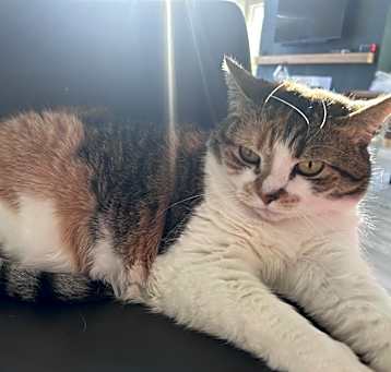 Photo of Barty