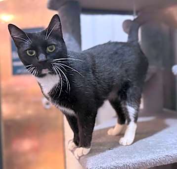 Photo of Bootsy