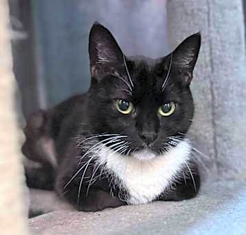 Photo of Socksy