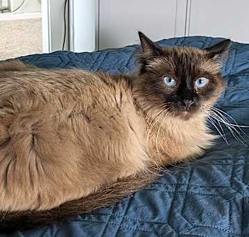Photo of Casper