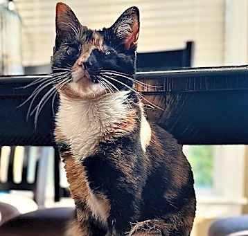 Photo of Buffy