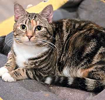 Photo of Ramona