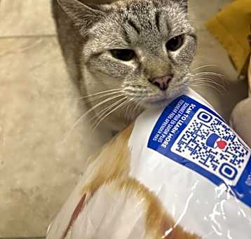 Photo of Coco