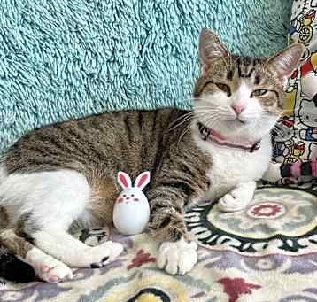 Photo of Mabel