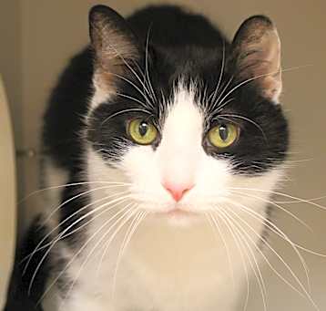 Photo of Ember