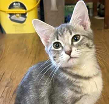 Photo of Daisy Q