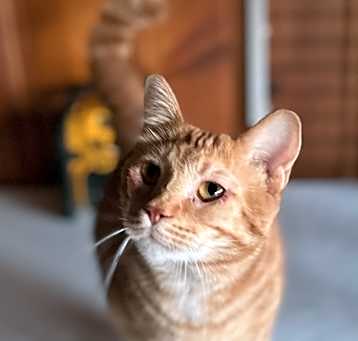 Photo of Malachi