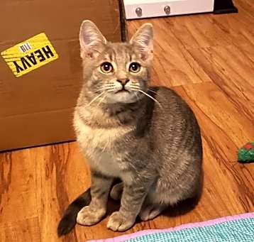 Photo of Bob