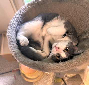 Photo of Leonard