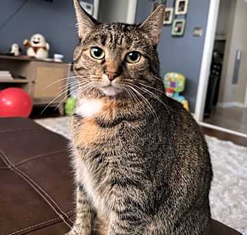 Photo of Momma